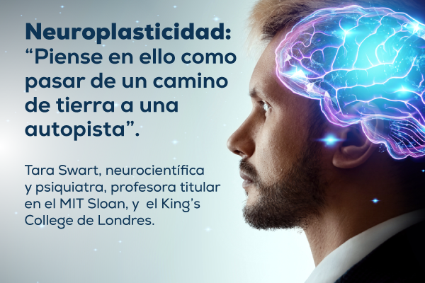 ¿Cómo entender la neuroplasticidad del cerebro?
